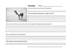 Dromedar-Fragen-3.pdf